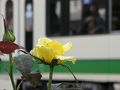 赤羽の旅行記
