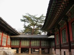 2003暮、韓国紀行11(8)：12月28日(5)ソウル・昌徳宮(チャンドックン)