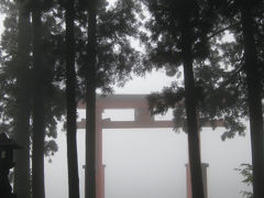 幻想的な箱根神社と春爛漫つつじ祭り