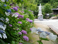 三河のあじさい寺　本光寺　【初☆写経】