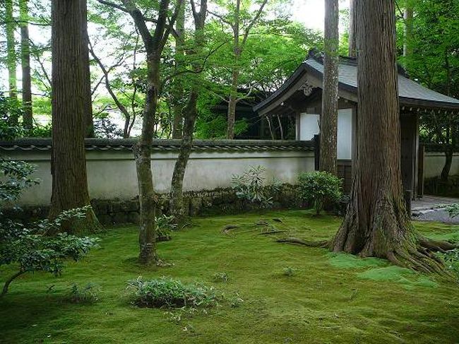 京都大原三千院の紫陽花まつり 京都の旅行記 ブログ By チャミーさん フォートラベル