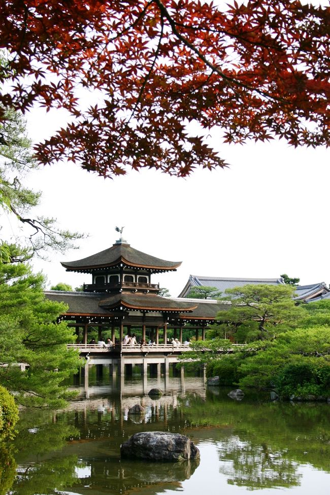 今日もやっぱり休日出勤のうちの旦那様。<br />6月末の久米島旅行3日間のために、<br />頑張って働いているようです。頑張れ～～～～～<br />そして、1人おうちに取り残された私はまたまた京都のお寺へ。<br />「今日は何処へ行こうかな」<br />「そうだ、平安神宮に行こう」<br />「今は菖蒲が見ごろなはず・・・」<br /><br />さすが、平安神宮の“神苑”<br />見事なお庭に最高に癒されました♪<br /><br />平安神宮　　http://www.heianjingu.or.jp/