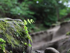 梅雨の合い間の鎌倉散策