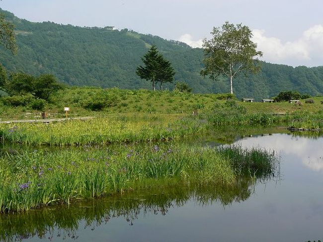 アルプの里 雲上トレッキング 越後湯沢 中里 岩原 新潟県 の旅行記 ブログ By もろずみさん フォートラベル