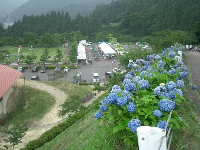 板取あじさい村の中心ともいえる「21世紀の森公園」。総合グランド、バイクトライアル場、森林学習展示館等があり、あじさいを中心にお祭り気分です。