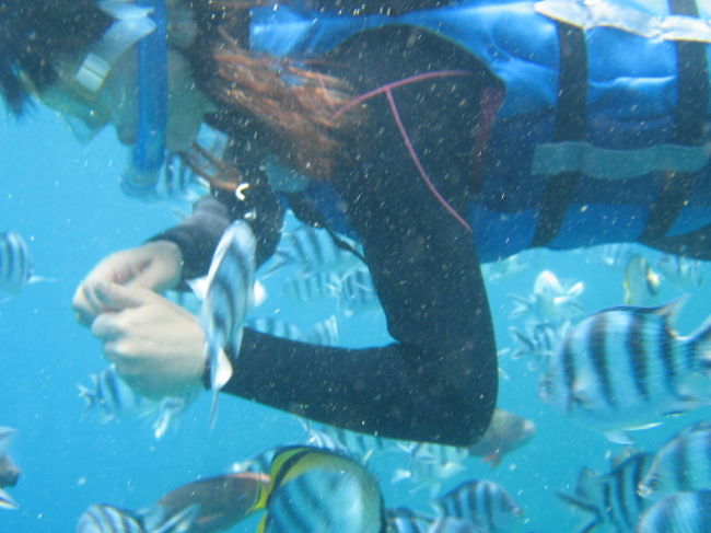 海が怖いけど海で遊びたい私。<br />何度か体験ダイビングやシュノーケリングをして楽しくなってきました。<br />前回はちょっと怖いので真栄田岬の階段を下りて洞窟にいきましたが、慣れてきたので今回は海から泳いで洞窟に!<br />