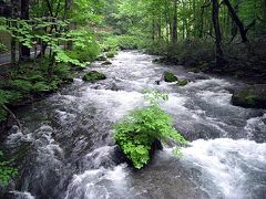 ふだん着の休日　-初めての奥入瀬・十和田 １日目