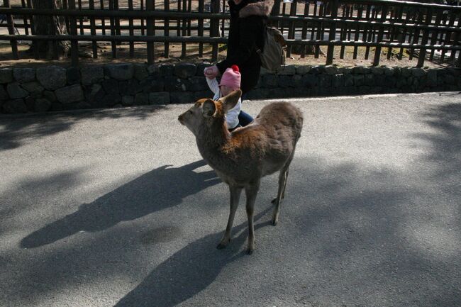 奈良と京都へいってきました。<br /><br />休みだ取れたので<br /><br />思い立って行ってきました。<br /><br />乗り物メインですけどね。