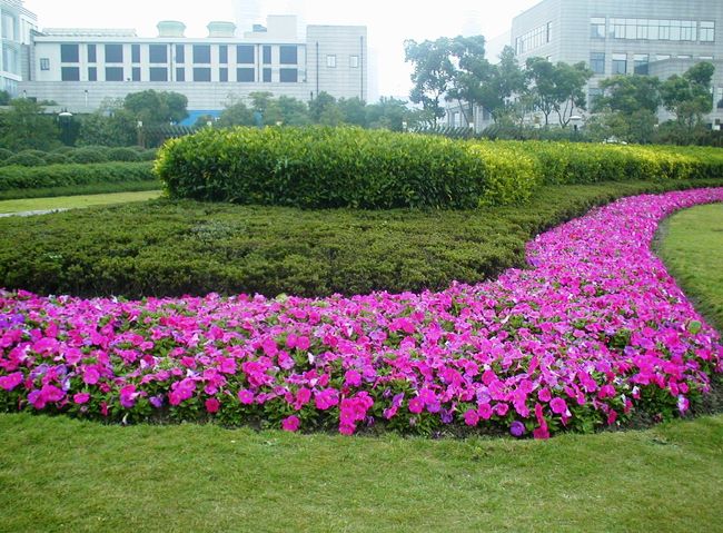 2004秋、中国旅行記5(11)：11月1日(2)上海・人民公園、建国ホテル界隈