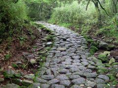 箱根ハイキングと紫陽花観賞