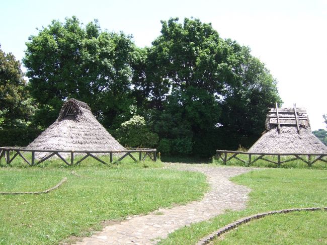 家から「徒歩」で訪問した旅行記です.<br />縄文・弥生・古墳時代の遺跡です.<br /><br />家族で散歩しました.片道15分くらいです.<br />