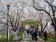 幸手・権現堂桜堤