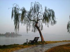 2004秋、中国旅行記5(21)：11月3日(1)杭州・汪荘、西湖湖畔、雷峰塔