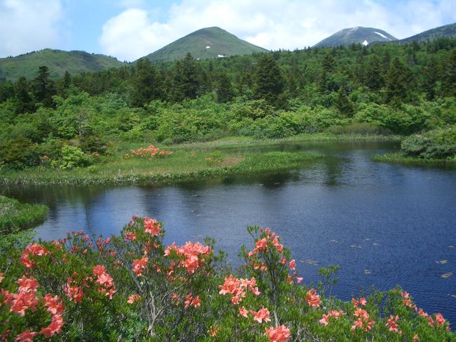 ２日目は、まず八甲田山へ向かいました。それまで知らなかったのですが、”八甲田山”っていう山はないんですね。大岳を主峰とした１０余の山々の総称が”八甲田山”なのだそう。へぇ～。