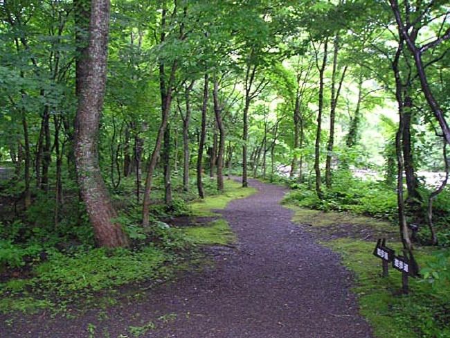 早朝一風呂の後に、宿のの周りを散策してみましょう。<br />ただ、ただ、きれいです！空気もお・い・し・い！<br />