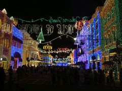 Orlando☆『ｳｫｰﾙﾄ・ﾃﾞｨｽﾞﾆｰ・ﾜｰﾙﾄﾞ』のｸﾘｽﾏｽﾎﾘﾃﾞｨ♪’07-vol.1