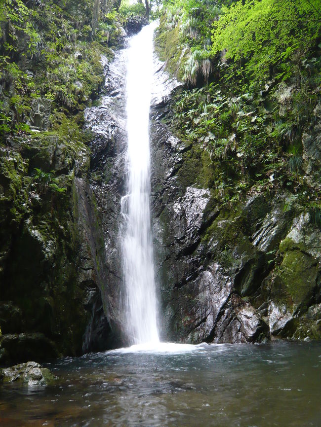 兵庫県篠山市にある『玉水ゆり園』にユリを見に行こうとwifeの両親を誘い、wifeの友人が篠山に住んでいるというのでその友人夫妻＆1歳半の子供さんとゆり園で待ち合わせることになりました。<br /><br />待ち合わせは15:30だったので、それなら篠山からあまり遠くない場所に滝がないかなと探してみると、『独鈷の滝（どっこのたき）』という滝があるのを見つけ、行ってみました。<br /><br />