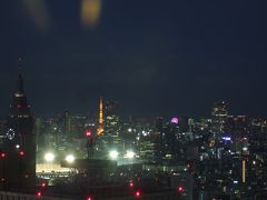 入谷・谷中銀座と都庁からの夜景―６月の東京散策記（後編）