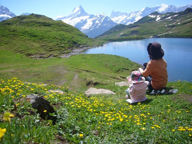 ６～７月、それはスイス、花畑の全盛期。<br />１０年前にスイスを訪れた時は、花も終わりの9月。<br />「アルプスの少女ハイジ」の世界に憧れていた子供の頃からの夢、スイス・アルプスの花畑をこの目で一度、見てみたい。<br />ガッツと度胸を頼りに、2歳の娘を連れて、ついに夢を実現してきた。<br />長距離移動は、最初と最後だけ。<br />あとは、貸別荘（アパート）を借りて、子供のペースを大切に、のんびりスイスの自然を満喫。<br />大変だったことなんて、ほんのちょっと。<br />娘もママにどっぷり構ってもらえて、ほとんどずっとご機嫌（サンキュー）♪<br />娘はこの旅行のこと、きっとそのうち忘れてしまうだろうけど、ママの心の中では、忘れることのできない素晴らしい思い出として、ずっと輝き続けるよ。<br />娘をはじめ、理解のあるパパ、私を支えてくれた全ての人に、心から、ありがとう！！！