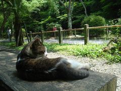 初・ひとり旅～京都三日目・銀閣寺～