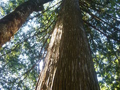 飛騨高山修学旅行記～２日目編～