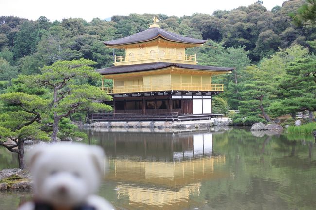 京都世界遺産めぐり?　「鹿苑寺（金閣寺）」　<br />１９９４年に古都京都の文化財として世界遺産に登録された。<br /><br /><br />京都の世界遺産ということで、一番最初に行きたかった寺です。<br />修学旅行では必ずと言っていいほど、こちらの見学が組み込まれているでしょう。<br /><br />金閣寺の見所は、あまりにも有名な舎利殿（金閣）と池泉回遊式庭園です。<br /><br /><br />拝観料：４００円