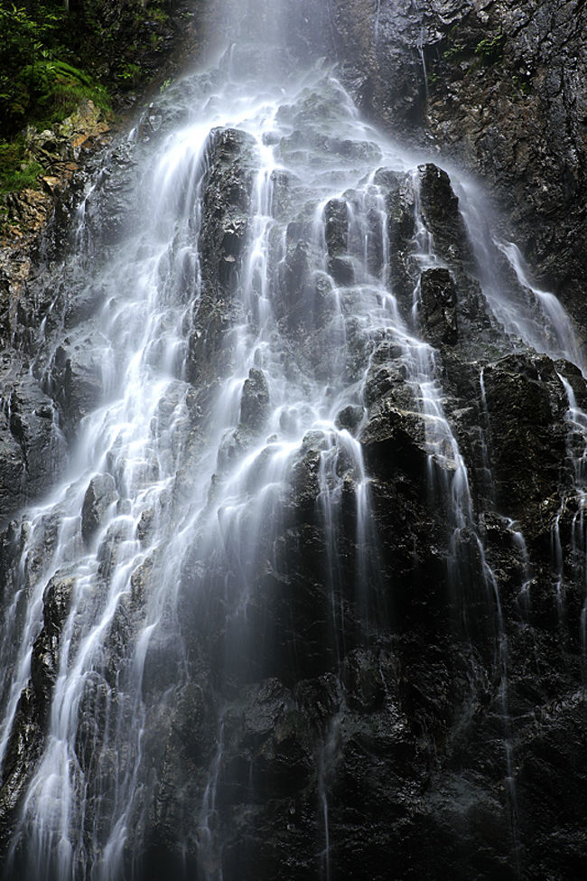 奈良県吉野郡川上村の名瀑。<br /><br />川上村は紀ノ川/吉野側の源流の地、<br />大台ケ原の北に位置し、日本有数の多雨地域。<br />その水系である井光川の山中に非常に美しい滝がある。<br />氷瀑で有名なこの滝は四季折々の美しさを見せてくれるとともに、<br />以下のような言い伝えがある。<br /><br />「滝の不思議な見所は春夏秋季と霊薬草水のしぶきに<br />十三尊佛の姿と十六善神様が岩に現れ観られる人の<br />心を清め励ましの心と勇気を与え授ける<br />滝となり、冬季は見事に凍結して文殊菩薩を現し<br />多くの人々に知恵を与え授け賜う御滝と伝う」<br /><br />「うつ水に　かくれし　佛拝み行く<br />　　我が手に数珠はなけれども」　　明堂　詠<br /><br />高さ３０ｍ　段瀑<br />