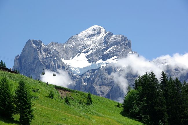 憧れのスイスアルプスの山と花を眺めるハイキング行、グリンデルワルト４泊（１と２）とツェルマット３泊（３と４）の旅でした。