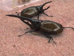 世界一周旅行【Part29】　コロンビア@ボゴタ