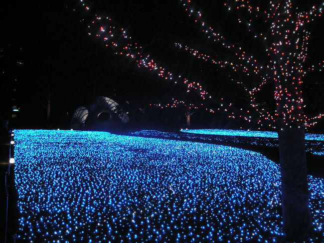 青い絨毯がすっごくきれいでした☆<br /><br /><br />詳しくは別ブログまで♪<br />http://blog.plaync.jp/akimin/154001