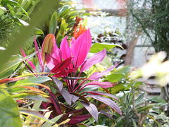 温室カメラダイエット♪さいたま市園芸植物園と大崎公園