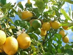 ポルトガル 旅の記録  【７、８日目 モンサラーシュ−前編−】