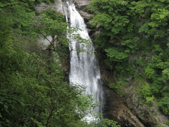 今日は滝を見に行こう！、そんなことで仙台市郊外の「秋保大滝」に行ってきました。ここは仙台市内から車で５０分程で到着。高さ５５ｍのところから、凝灰岩を割って名取川の全水量が幅６ｍの瀑布となって落ち込む豪壮雄大な滝。古来、不動の滝とよばれ、那智、華厳の両滝よりも規模では劣るものの、名瀑として広く知られている。滝壺の近くまで道路が通じており、誰でも容易に見られる。新緑、紅葉の季節が美しいが、雪景色もよい。<br />