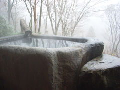 神奈川県（箱根）強羅温泉でゆったり過ごす新年