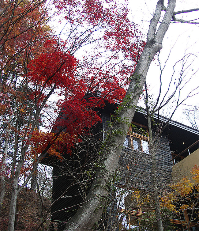 06 最高の新婚旅行に感謝 星のや軽井沢 軽井沢 長野県 の旅行記 ブログ By Romanさん フォートラベル 06 最高の新婚旅行に感謝 星のや軽井沢 軽井沢 長野県 の旅行記 ブログ By Romanさん フォートラベル