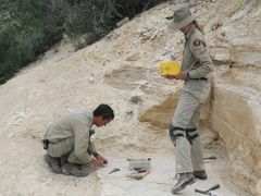 7000Kmドライブ一人旅「フォッシルビュート国定公園(Fossil Butte National Monument)」