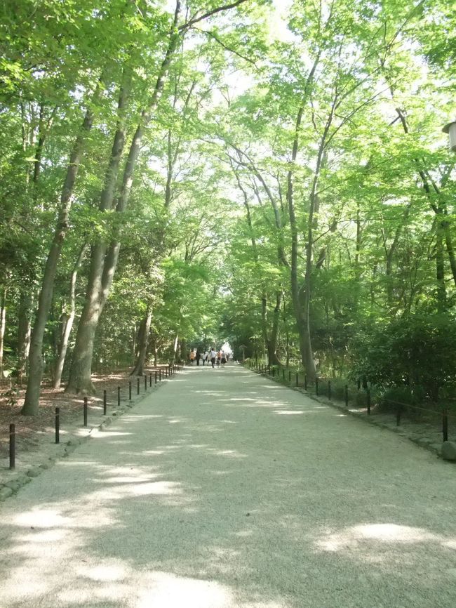 京都世界文化遺産『下鴨神社』（加茂御祖神社かもみおじんじゃ）<br /><br />国指定史跡　糾すの森（ただすのもり）３万６千坪の境内は東京ドーム３倍の広さ。<br />下鴨神社には国宝に指定されている本殿2棟（上述）と重要文化財に指定されている社殿53棟があり、事実上、殆どの建造物が重要文化財である。<br /><br /><br />史跡糺の森は、高野川と鴨川が合流する三角州地帯の森林をそのように呼ばれている。かつては、約495万平方メートル（約150万坪）の原生林であったが、中世の戦乱や明治4年の上知令によって現在の約12万4千平方メートル、東京ドームの約3倍となった。現在は全域を国の史跡として保存されている。　史跡糺の森は、旧山代原野の原生樹林の植生を残す唯一の森林で、ケヤキ、ムク、エノキなど約40種、樹齢200年から600年の樹木約600本が生い茂っている。　樹林の間には奈良の小川、瀬見の小川、泉川、御手洗川の清流があって四季におりなす林泉の美と幽すいは、市民の憩いの場として古くから親しまれてきた。源氏物語、枕草子をはじめ数々の物語や詩歌管弦にうたわれている名所旧跡でもある。<br />http://www.shimogamo-jinja.or.jp/home/index.html