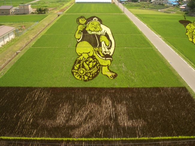 津軽は田舎館に今年も田んぼアートが登場しました。
