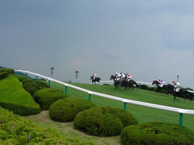 7/5 「土日きっぷ」で福島へ。<br /><br />福島競馬場でも障害レースをやりますが、年に数レースしかやりません。<br /><br />最終レース後、本物のゼッケンを貰いました。