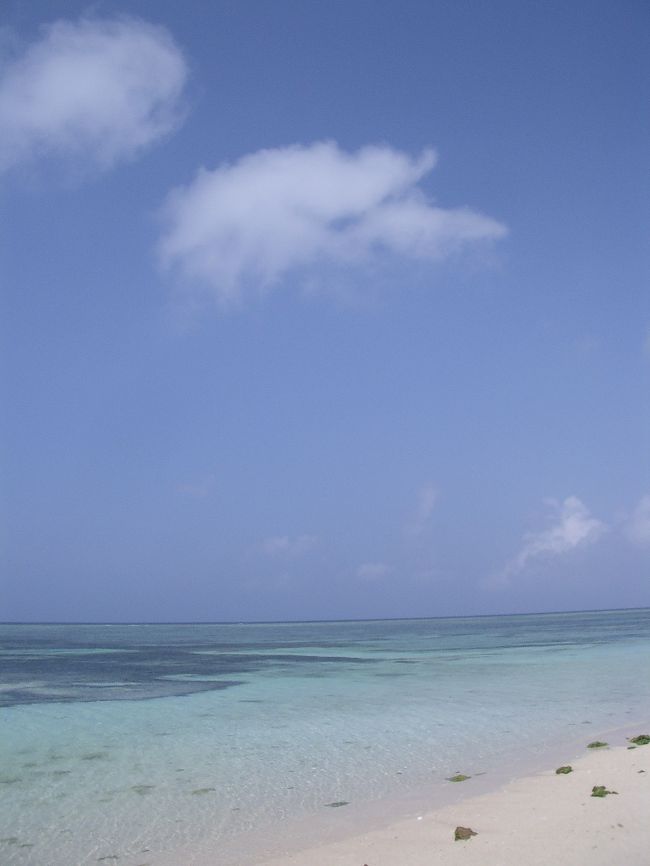 多良間島ってどんな島なんだろう?という興味から、多良間島へ。ただただ、のんびりと過ごせる島でした。