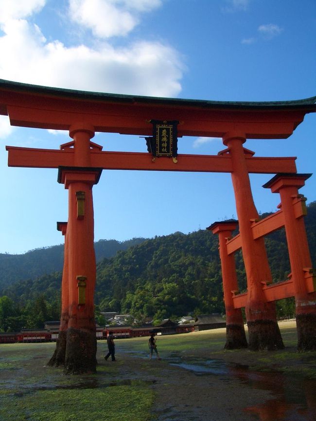 世界遺産 厳島神社を参拝す<br /><br /><br />世界遺産に登録された厳島神社。<br />然し多くの観光客や参拝者は外面だけを観ているに過ぎません。<br />その保存維持には並々ならぬ苦労が存在します。<br />厳島神社を別の観点から参拝方々、通常は非公開な箇所をも含め特別に拝観させて戴きました。<br /><br />http://www.wch.jp/jp/6674isukusima<br />http://www.miyajima-wch.jp/<br />