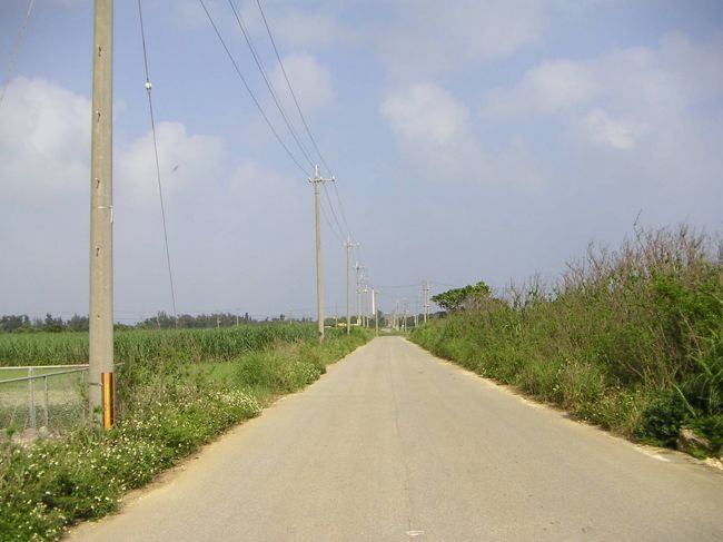 海に入ってボーッと過ごし、自転車で島めぐり。