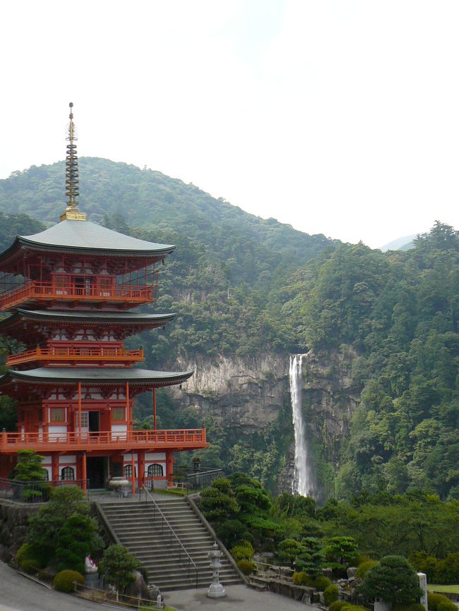 前回の続きです。前回で潮岬、橋杭岩、勝浦まで進んだので今回はメインの熊野三山制覇に向かいます!!