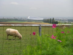 羊が丘は眺望の良いすばらしい展望地です