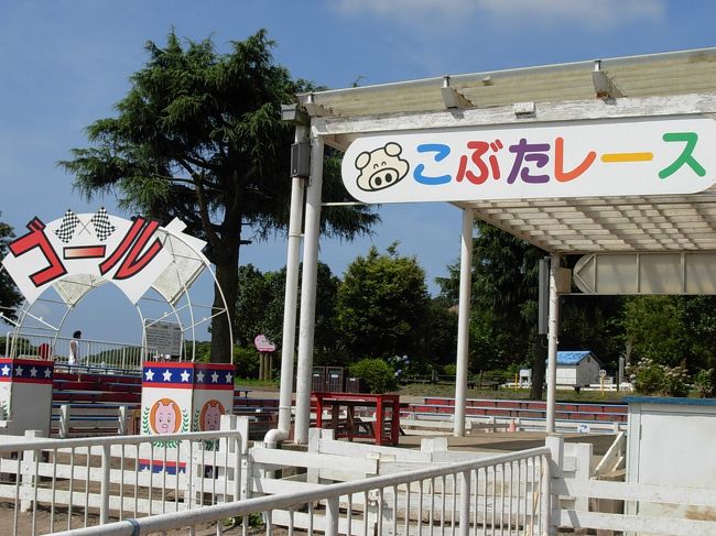 千葉・房総 方面!に ちょっと、 主人の 用を 足しながら・・・、<br /> 「(房総・ 富津の 山奥に 在る)マザー 牧場にでも ふたりで 行くか~?」<br /> と 云う! 「アーラ、珍しい! 旦那様の ご提案!」で <br />ーーー日帰り!ですが 房総の 方に、ドライブ 旅!に 行ってきました。<br /><br /> 「マザー 牧場」は、 小さな 子ども達!を 連れて、何度か 家族 旅行!で 来たことが ある <br />『懐かしさ! いっぱいの 場所』・・・。<br /><br /> 今日は、そんな 思い出!を 振り返りながら・・・、年老いた! 夫婦で 牧場内を ノ~ンビリと、 歩いてみよう。<br /> 「こんな コト!も あんな シーン!も・・・」と 幼子を 連れて 必死だった! 若かった! 私達が、 園内の 様々な 動物コーナー!を 見ると、脳裏に 浮かぶ。。。<br />ーーーーーーーーーーーーーーーーー<br /> せっかく ココまで 来た!の なら、<br /> 木更津の 丘陵地(山の中)!の ちょっと、 アカデミックな 一帯===(DNA 研究所!や、バイオ 研究施設など)「かずさ アカデミア パーク」の中に 在る!<br /><br /> 「『オークラ アカデミア パーク ホテル』で お昼でも 食べて 行こう」<br /><br /> 昨年の 同じ頃、 ふたりで、食事に 来て、「サービスや お味!は さすが オークラ!で ありながら・・・、<br /> お値段は 木更津 価格(?) 思いがけない! リーズナブルさ!」に ーーー嬉しくなってしまった・・・ お気に入り!の ホテル である。(♪)<br />ーーーーーーーーーーーーーーーーーーー<br /> ホテルの お隣に 在る!<br />ーーー湖上に 浮かぶ! ガラス 張り!の 「アカデミア ホール」も 建物 自体!が、 まるで モダンな アート!を 見るようで、予想 以上の 素晴らしさ!!!<br /><br /> 暑かった! けど、 ユックリ 田舎の 雰囲気!を 感じられた・・・。「夏の 日帰り! ドライブ 旅・・・。」