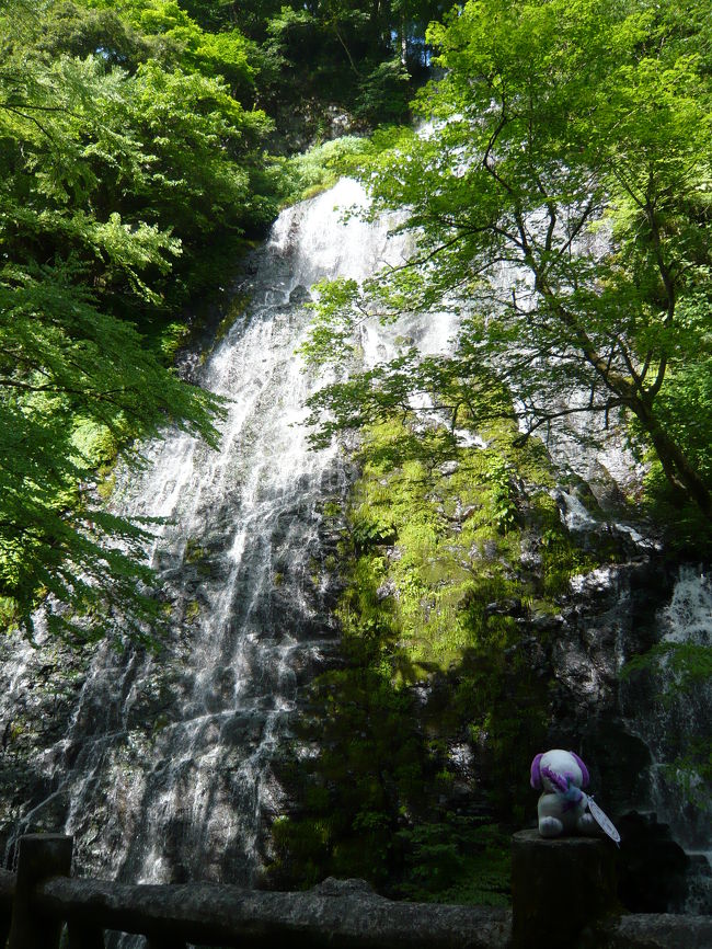 福井県では唯一の日本の滝百選『龍双ヶ滝』を見に行こうと真夏の北陸路へドライブ。<br />ガソリン高騰のせいか、３連休の中日にもかかわらず何となく交通量も少なかったようで、暑いながらも快適なドライブでした。<br /><br />日本の滝百選はこれで33ヶ所めとなります。