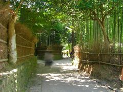 京都の夏☆母子旅　その４　竹林散策・野宮神社～ＪＲ京都
