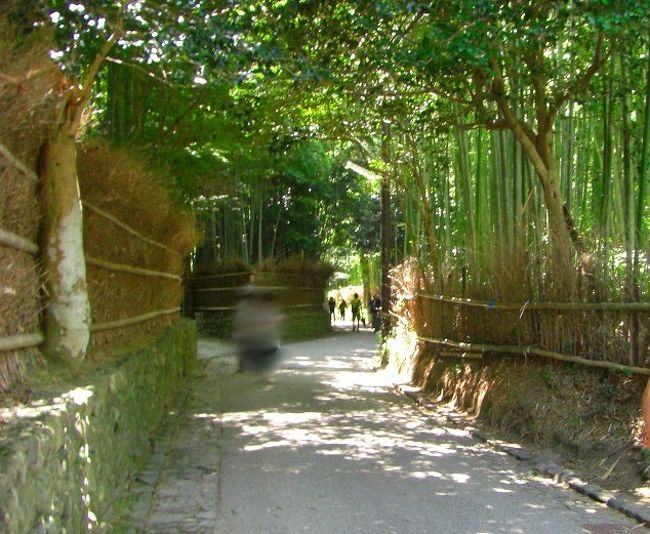 おばんざいバイキングをモリモリ食べて、<br />かの有名な竹林を野宮神社に向かって歩きました。<br /><br />京都らしい風情があって<br />日陰なぶん涼しくて、<br />のんびり癒される感じがしました。<br /><br />野宮神社もこじんまりとしていましたが<br />ひとっところにまとまっていて、<br />気持ちの静まる神社でした。<br /><br />駆け足でしたが、母子2人、大満足のプチ旅行でした♪♪<br />