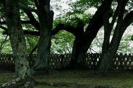 2008盛夏、国宝・彦根城(3/5)：天守、本丸と西の丸の庭園散策、西の丸・三重櫓