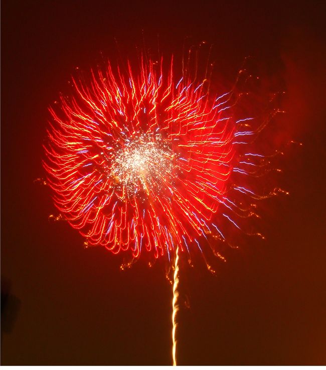 毎年７月の最終土曜日が隅田川の花火大会です。<br /><br />例年うちの屋上から見ているんですが、残念ながらちょっと遠くて小さい。<br />今年は近くで迫力のあるものを見たいと思って浅草に行きました。<br /><br />撮影はコンパクト・デジカメですが、花火モードが付いているので、心配なし！<br /><br />たくさん写真を撮り、半分は失敗でしたが面白い写真もたくさんあるので見てください。<br />